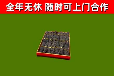 盘锦回收海参